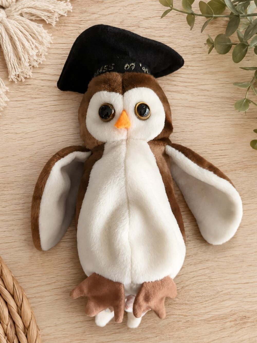 Ty Beanie Baby - Wise